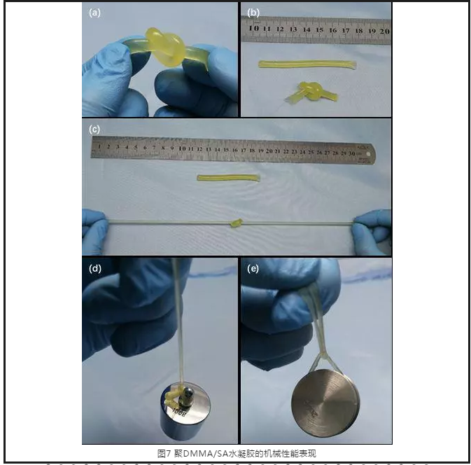 采用蓝光固化体系制备高吸水高性能水凝胶 涂料在线,coatingol.com