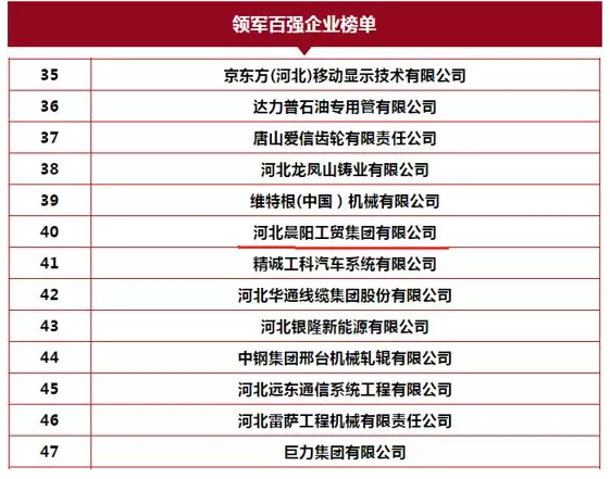 重磅！晨阳水漆荣获2019年河北省“双百强企业” 中网信息