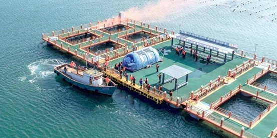 深海能源开采、深远海网箱防污、海洋通信设施运维、钻井平台台风季防腐、核电高温高压水腐蚀、冷喷锌涂料桥梁应用，精彩尽在IFMCF 2020！ 涂料在线,coatingol.com