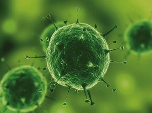访谈：“可以预期杀生物活性物质的应用将持续减少” 涂料在线,coatingol.com