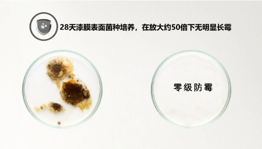 刷墙“套路”深？稳住，佐敦避坑宝典来啦！ 涂料在线,coatingol.com