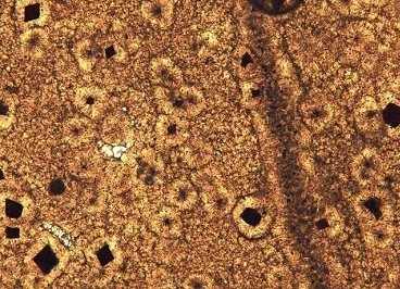 俄罗斯科学家开发出超强涂料，可在各种保护应用场景中发挥作用 涂料在线,coatingol.com