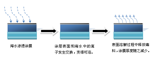 海洋防污涂料发展特点概括! 中网信息