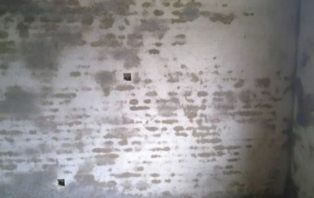腻子层有4毫米厚，这种墙面不出问题就怪了！ 涂料在线,coatingol.com