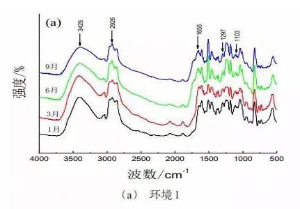 大气环境下环氧涂层的老化行为及防护性能 涂料在线,coatingol.com