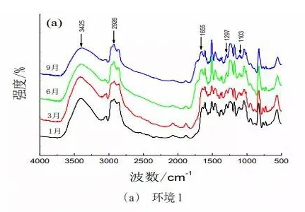 大气环境下环氧涂层的老化行为及防护性能 中网信息