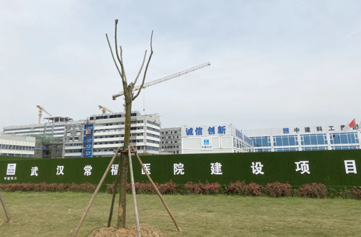 嘉宝莉易呼吸墙面漆，助力构建医疗空间安全防线 涂料在线,coatingol.com