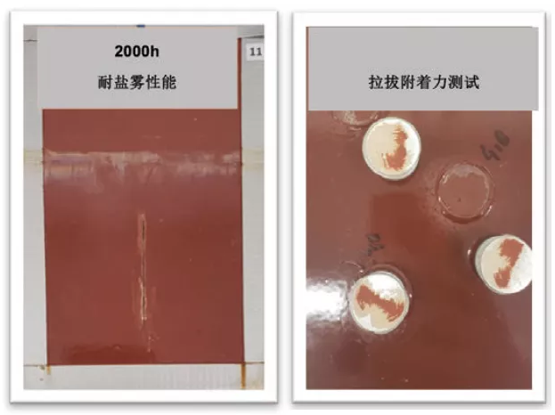 提供长效防护的超低排放环氧固化剂 涂料在线,coatingol.com
