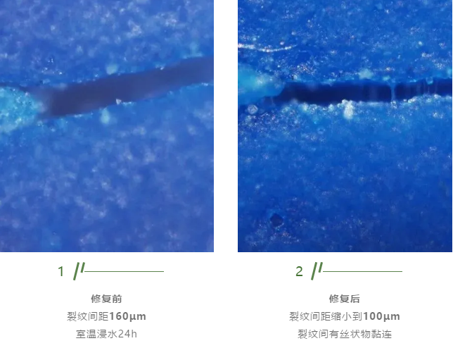 防水涂料能自愈，新房防水更放心 涂料在线,coatingol.com