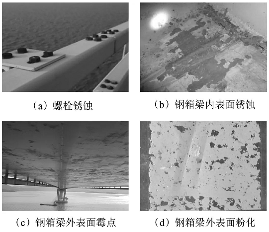 跨海大桥钢结构养护涂装体系设计及应用 涂料在线,coatingol.com