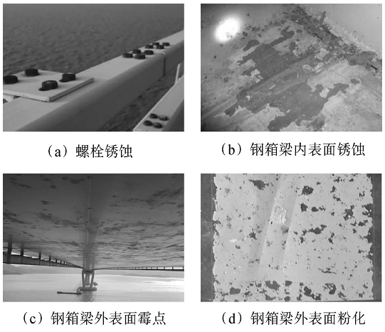 跨海大桥钢结构养护涂装体系设计及应用 中网信息