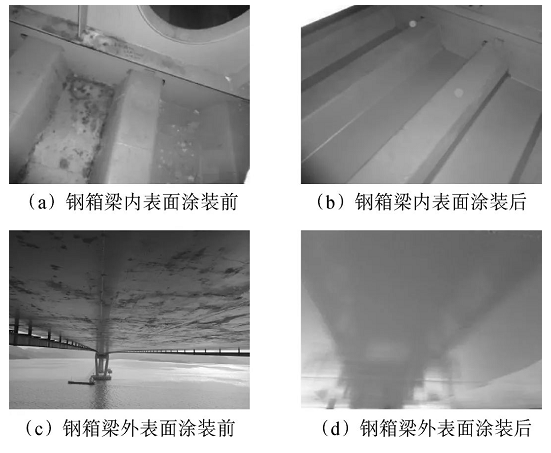 跨海大桥钢结构养护涂装体系设计及应用 中网信息