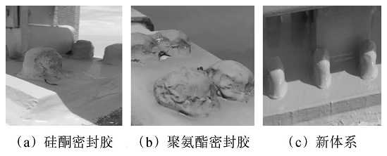 跨海大桥钢结构养护涂装体系设计及应用 涂料在线,coatingol.com