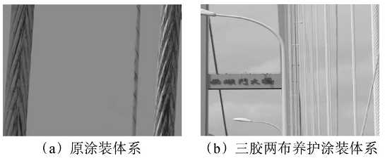 跨海大桥钢结构养护涂装体系设计及应用 涂料在线,coatingol.com