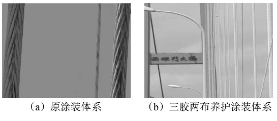 跨海大桥钢结构养护涂装体系设计及应用 中网信息