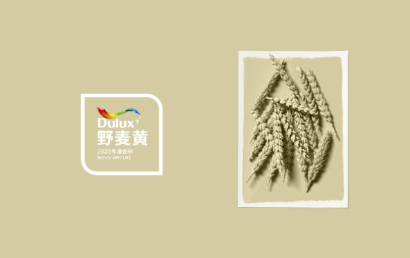 多乐士2023全球色彩趋势正式发布 野麦黄让生活随心而野 涂料在线,coatingol.com