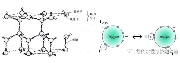 水性涂层附着力机理及影响因素分析 中网信息