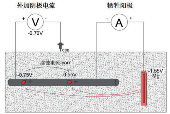 圆筒型FPSO建造阶段腐蚀与防护工艺研究 中网信息