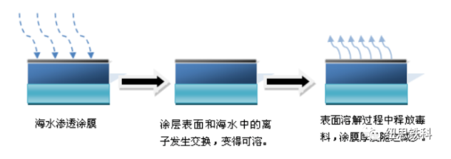 海洋生物防污作用机制及海洋防污涂料的应用研究 中网信息