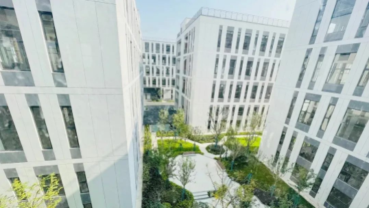 三棵树连续三年蝉联建筑涂料类房企品牌首选率第一 涂料在线,coatingol.com