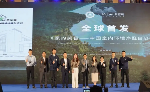 尚普咨询集团：卡百利净醛艺术漆连续三年全国销量第一 涂料在线,coatingol.com