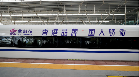 紫荆花上榜2023-2024十大优选家装涂料品牌 涂料在线,coatingol.com