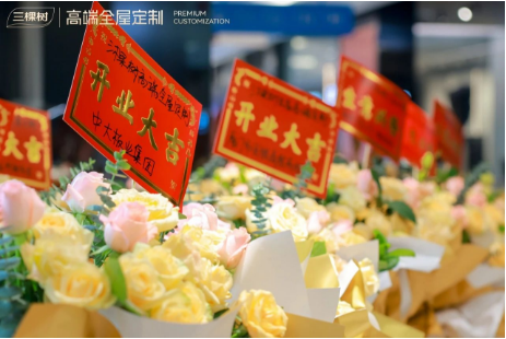 三棵树首家高端全屋定制直营门店盛大开业 涂料在线,coatingol.com