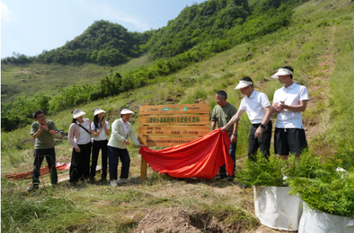 守护珍稀物种崖柏 三棵树助力保护生物多样性 涂料在线,coatingol.com