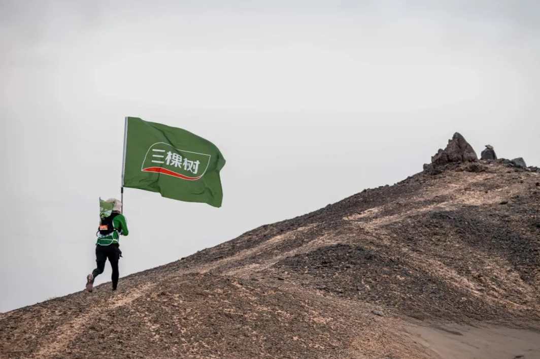 绿动戈壁 树立天地丨三棵树戈6 突破A段挑战，进发B段新征程 涂料在线,coatingol.com