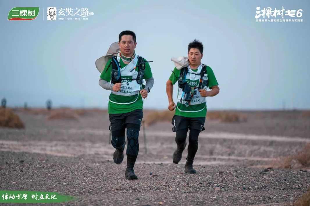 绿动戈壁 树立天地丨三棵树戈6 突破A段挑战，进发B段新征程 涂料在线,coatingol.com