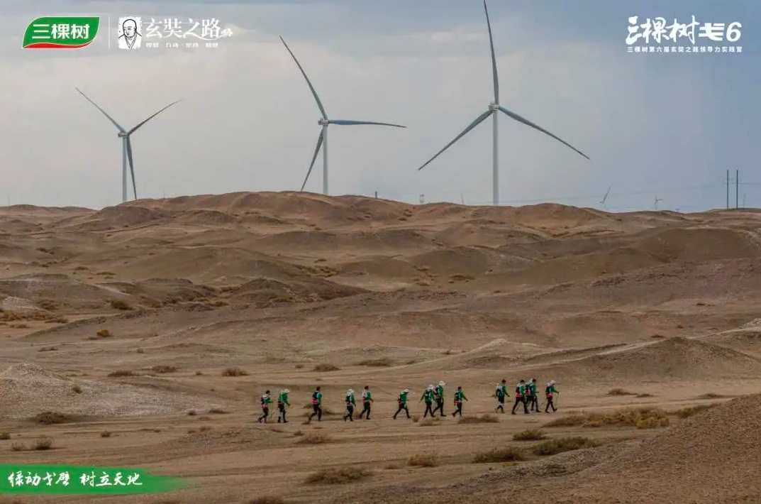 绿动戈壁 树立天地丨三棵树戈6 突破A段挑战，进发B段新征程 涂料在线,coatingol.com