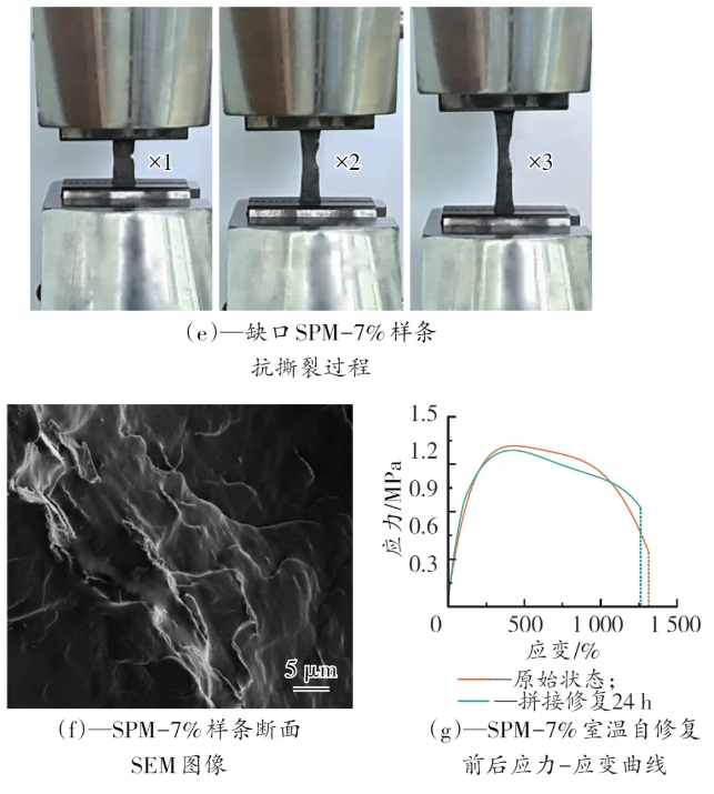 室温自修复柔性导热Ti3C2/聚氨酯复合材料的制备及性能研究 涂料在线,coatingol.com
