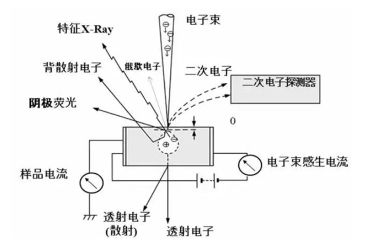 扫描电子显微镜在涂料中的应用及相关标准简介 涂料在线,coatingol.com