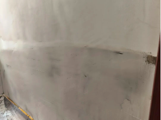 走进社区 诊治渗漏｜三棵树防水助力上海浦东新区肢残困难家庭房屋防水修缮 涂料在线,coatingol.com