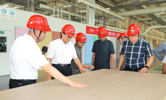 推动家居新材料技术革新！三棵树“实木水漆板”获评“国际领先”  涂料在线,coatingol.com