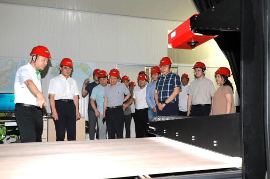 推动家居新材料技术革新！三棵树“实木水漆板”获评“国际领先”  涂料在线,coatingol.com