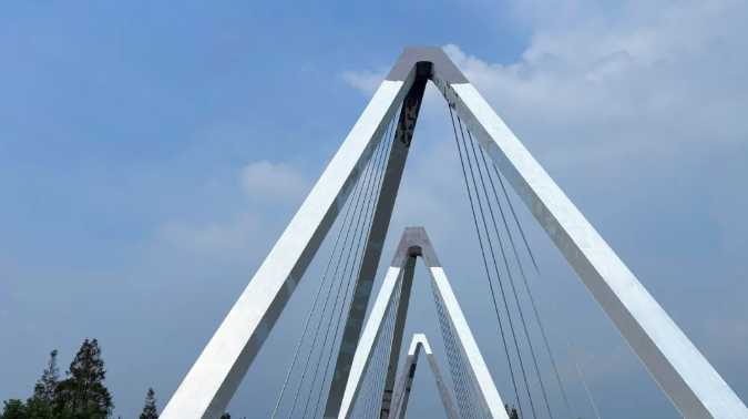 绿色防护 恒久守护 I 三棵树工业涂料助力上海崇明东平河大桥焕新启航 涂料在线,coatingol.com