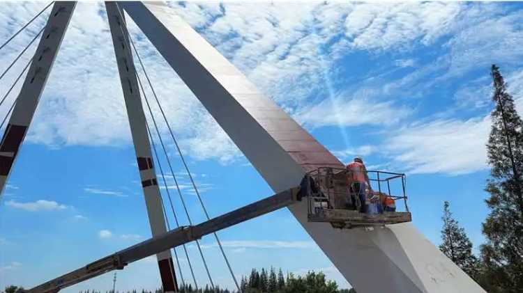 绿色防护 恒久守护 I 三棵树工业涂料助力上海崇明东平河大桥焕新启航 涂料在线,coatingol.com