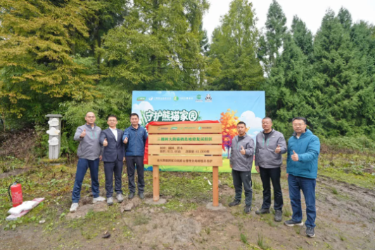 ScreenShot_2025-10-29_093610_815.png 守护熊猫家园,共筑绿色未来丨三棵树助力大熊猫栖息地修复 涂料在线,coatingol.com