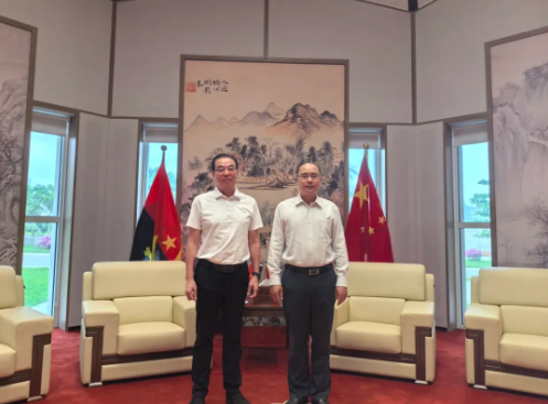 三棵树亚非万里行：以系统性布局领航全球化新篇 涂料在线,coatingol.com