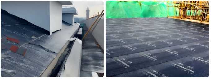 5.jpg 三棵树焕新标杆案例|上海“美丽江桥”旧改,为老社区注入新生命 涂料在线,coatingol.com