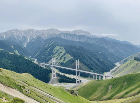 三棵树以创新助推工业涂料国产化 涂料在线,coatingol.com