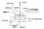 扫描电子显微镜在涂料中的应用及相关标准简介