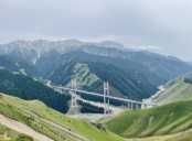 三棵树以创新助推工业涂料国产化